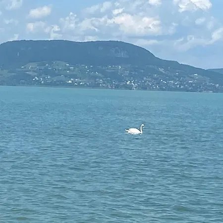 Σπίτι διακοπών Lipi - Away From *