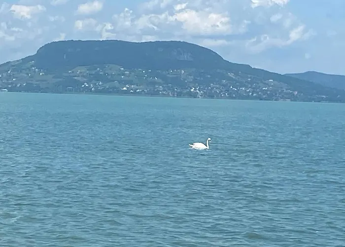Case de vacanță Lipi - Away From *